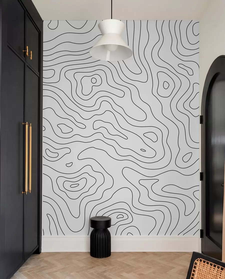 peintures murales Carte topographique u70650