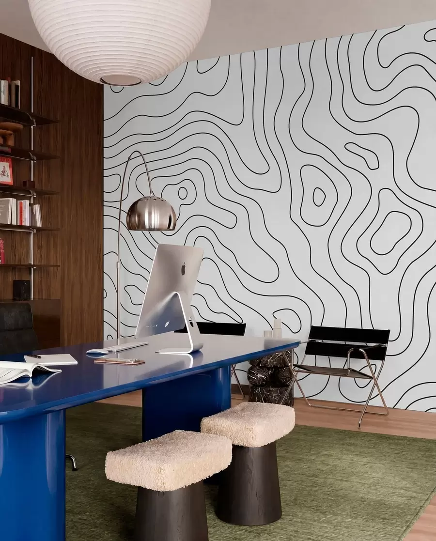 wall murals topographic map u70650