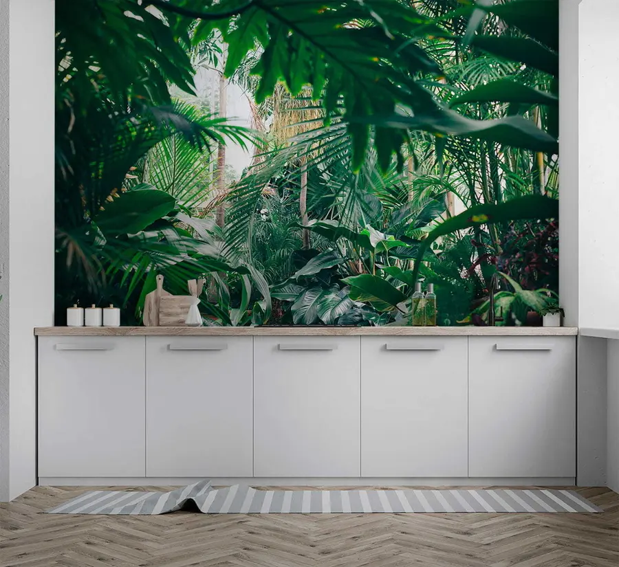 Wall Mural Photo Wallpaper Dense jungle u05361