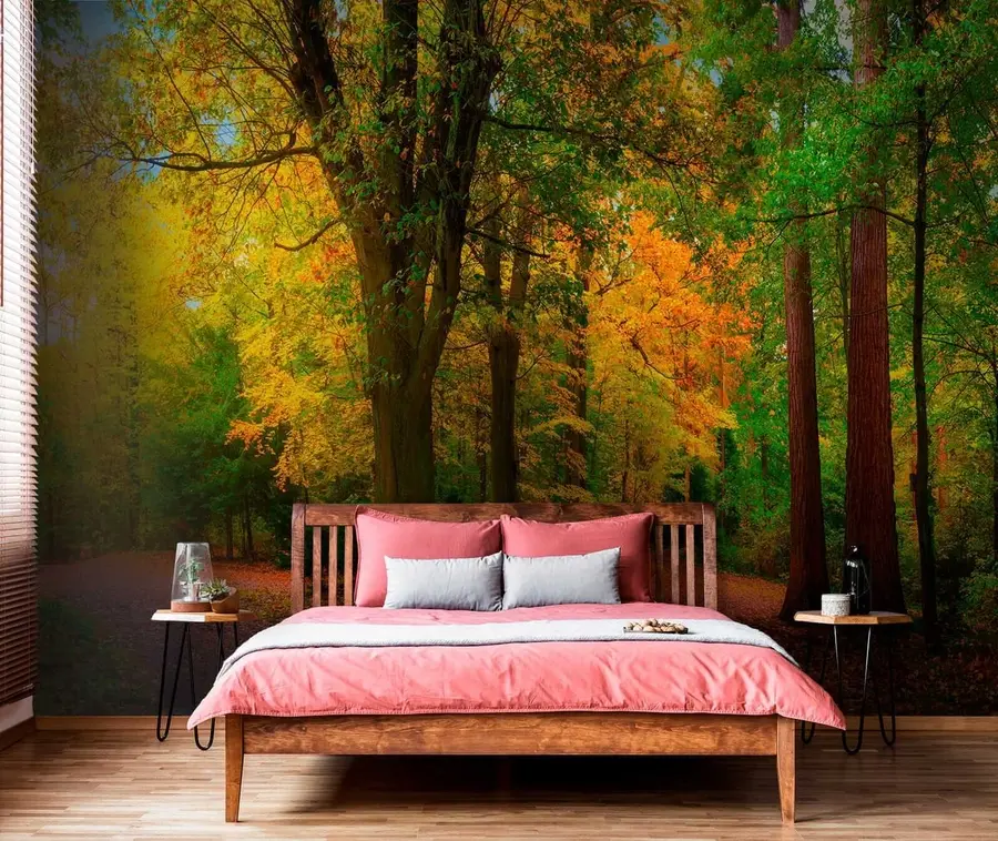 Wall Mural Photo Wallpaper Beginning of autumn u08547