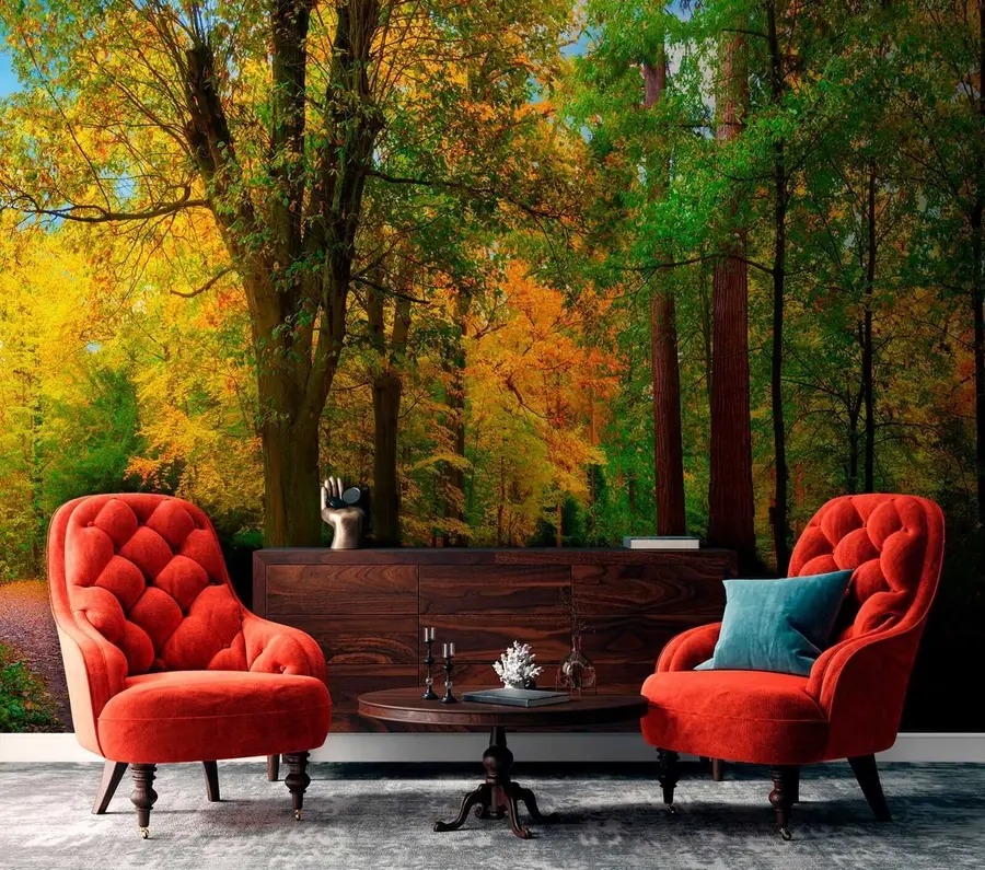 Wall Mural Photo Wallpaper Beginning of autumn u08547