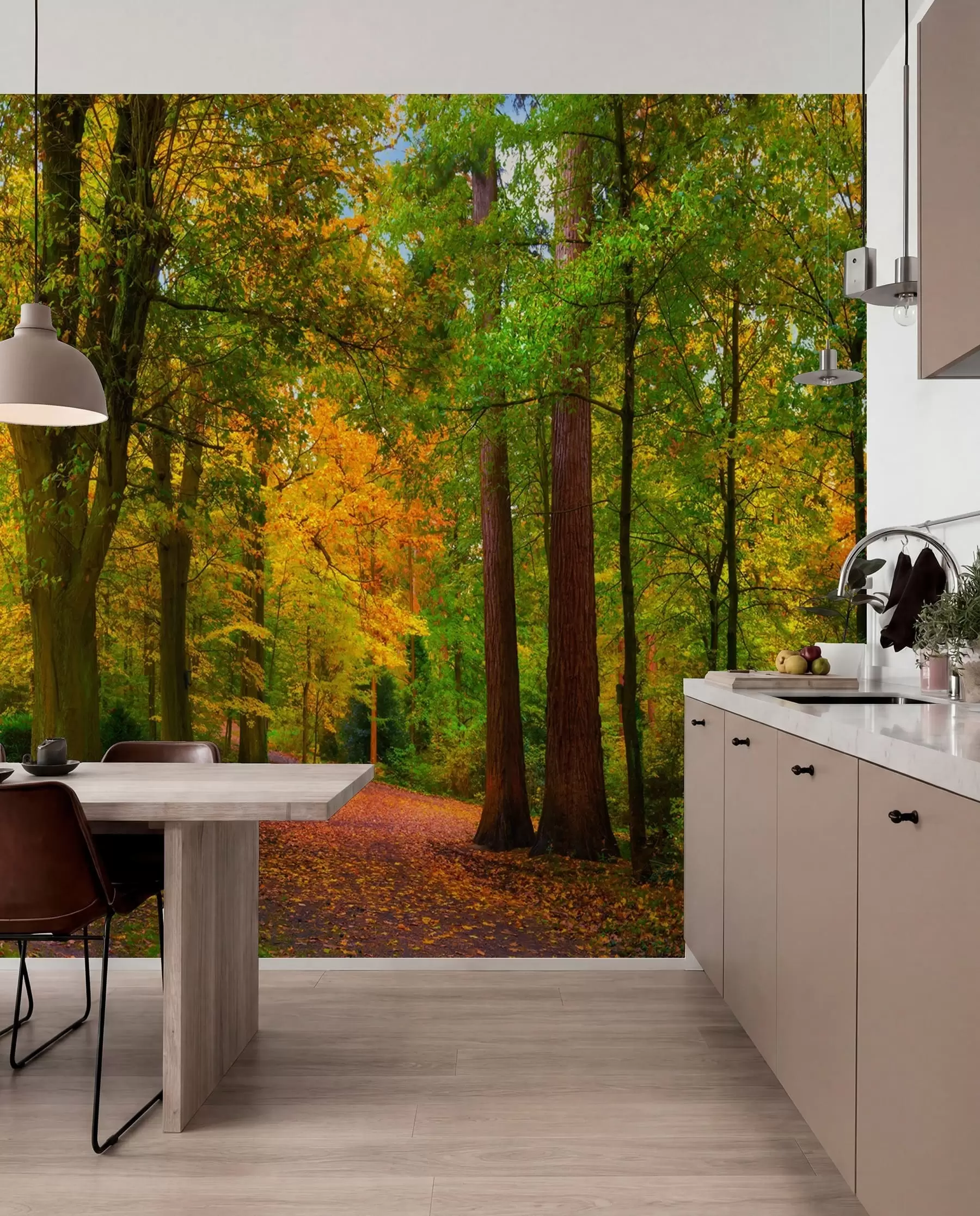 Wall Mural Photo Wallpaper Beginning of autumn u08547