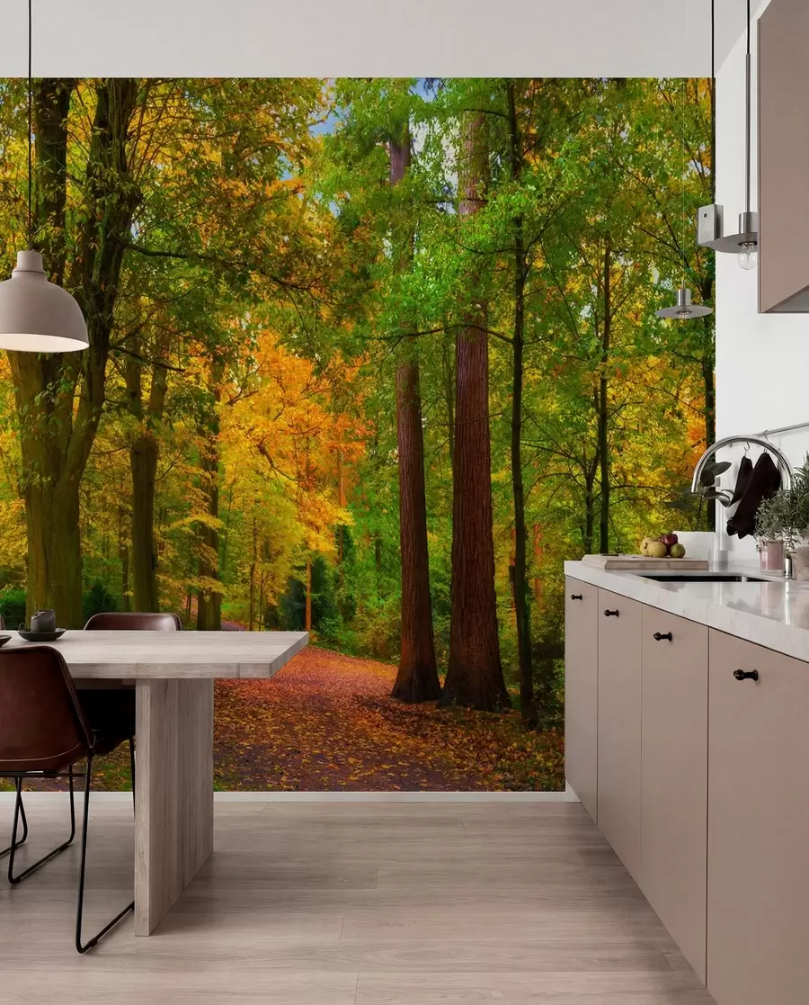 peintures murales Début de l'automne u08547