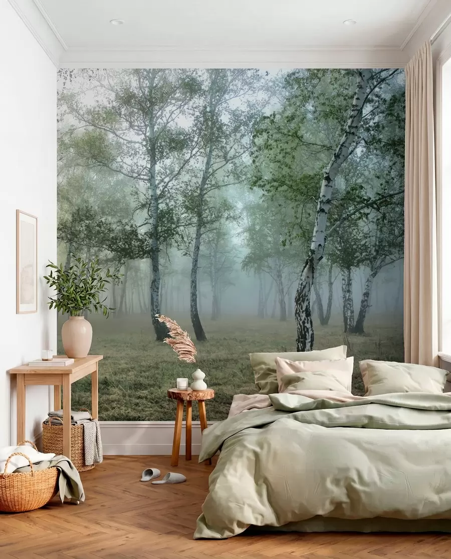 murales Niebla Bosque de abedules u25820