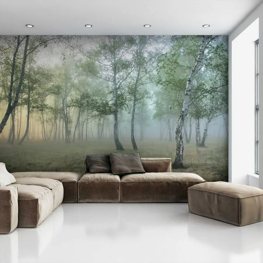 Wall Mural Photo Wallpaper Fog Birch Forest u25820