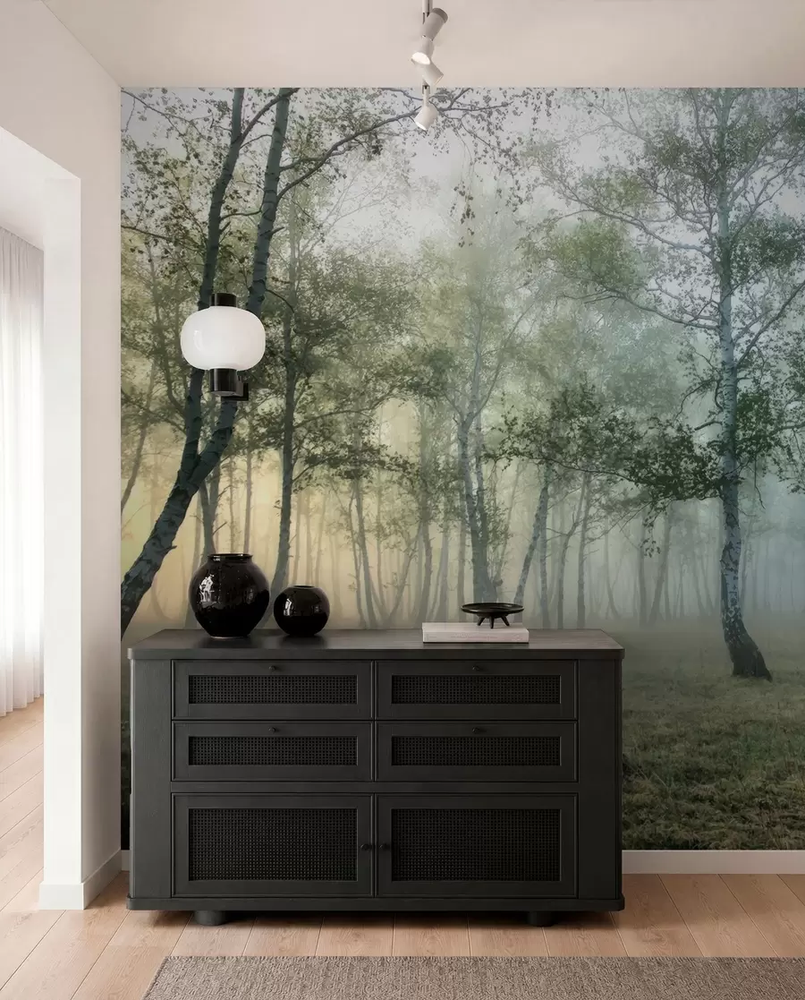 peintures murales Forêt de bouleaux brumeux u25820