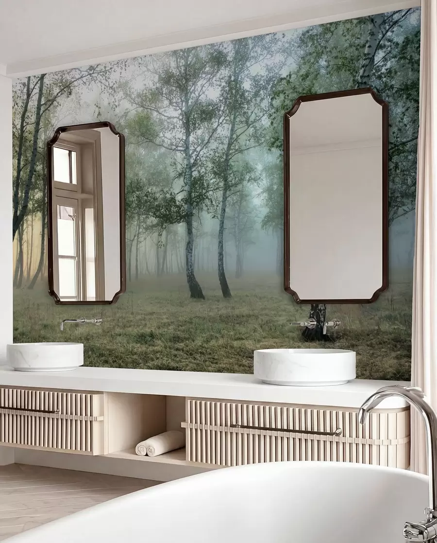 wall murals Fog Birch Forest u25820