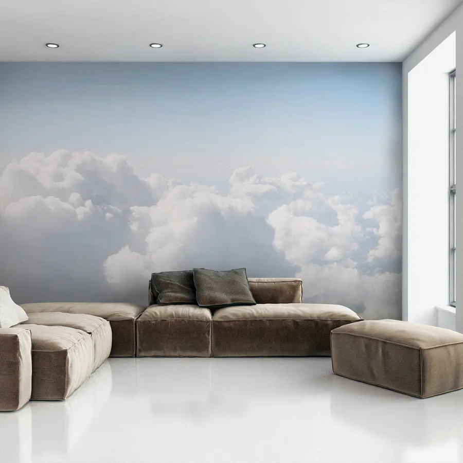 Wall Mural Photo Wallpaper Flight in the clouds u35954