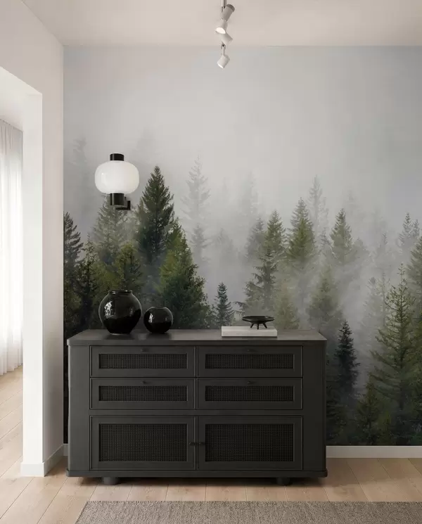 Forêt Brumeuse