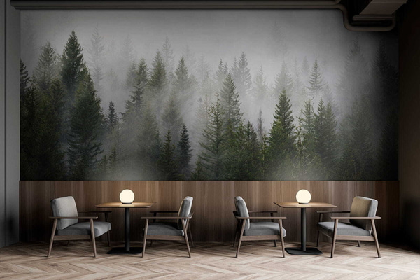 Forest in the fog