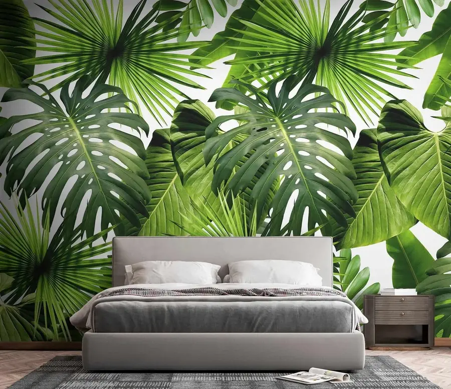 Wall Mural Photo Wallpaper Tropical greens u37767