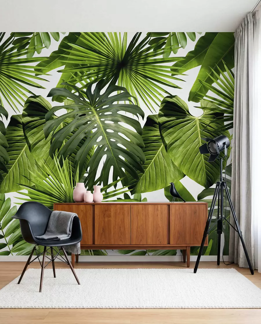 Wall Mural Photo Wallpaper Tropical greens u37767