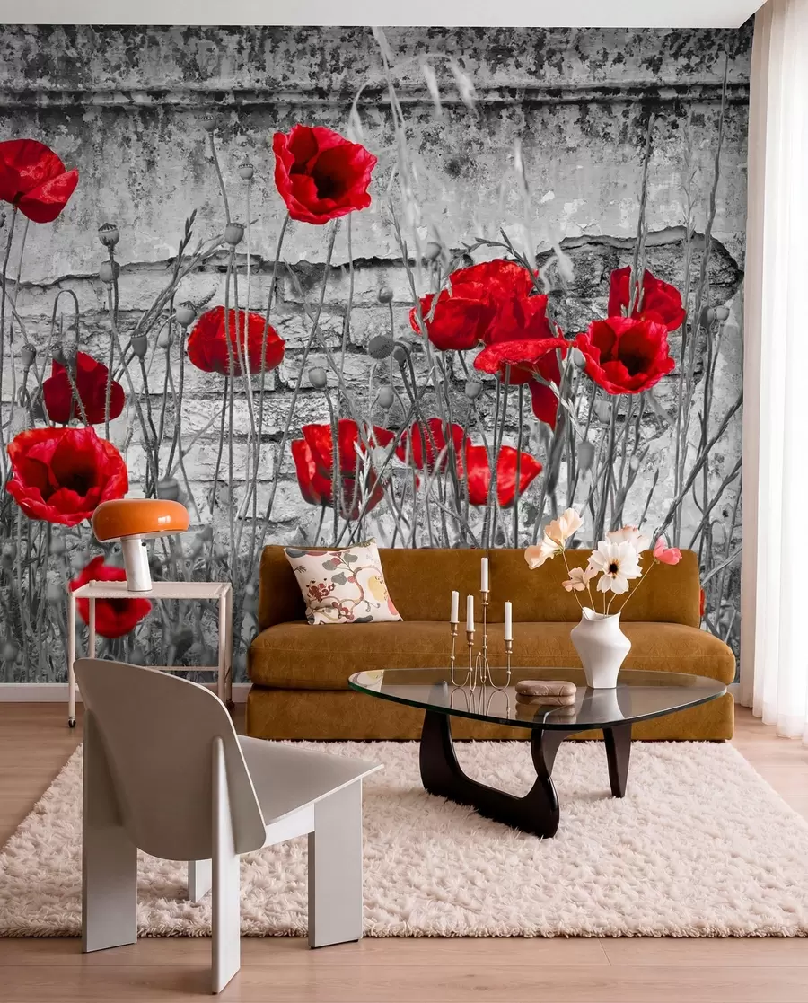 Wall Mural Photo Wallpaper Flower, colorfulness and plant u40552