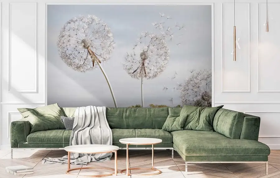 Wall Mural Photo Wallpaper Big dandelions u44628