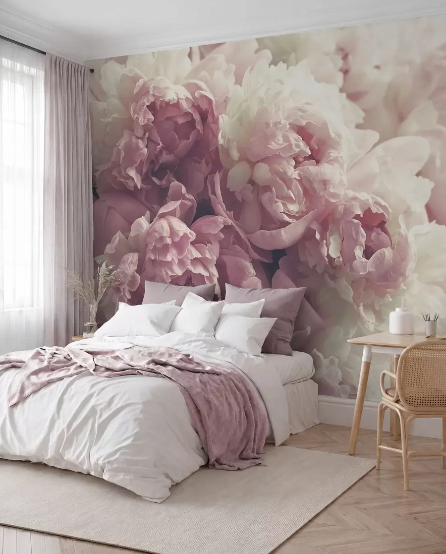wall murals Flower, petal and pink u44746