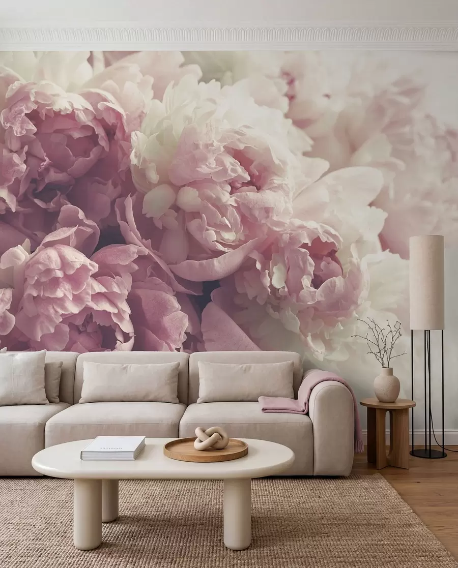 Wall Mural Photo Wallpaper Flower, petal and pink u44746