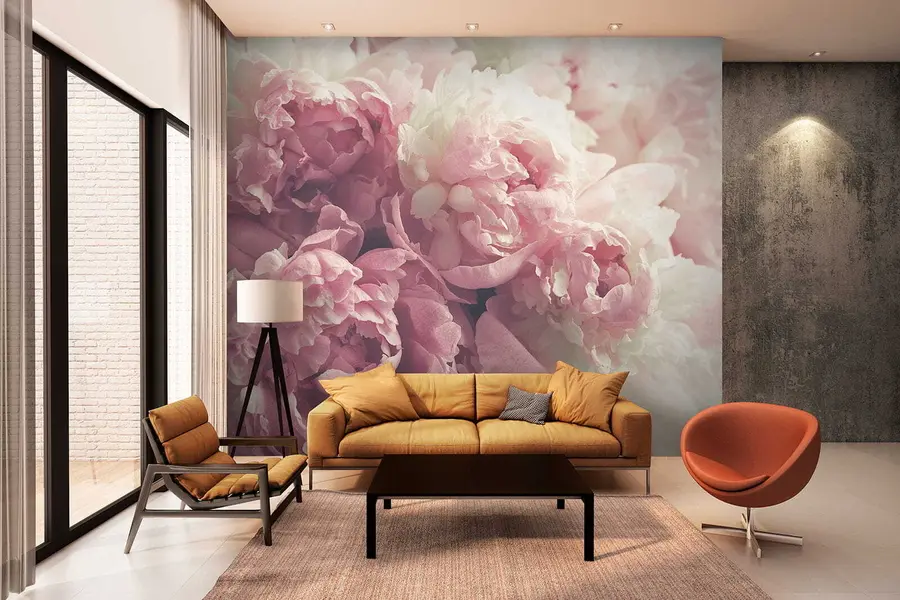 Wall Mural Photo Wallpaper Flower, petal and pink u44746