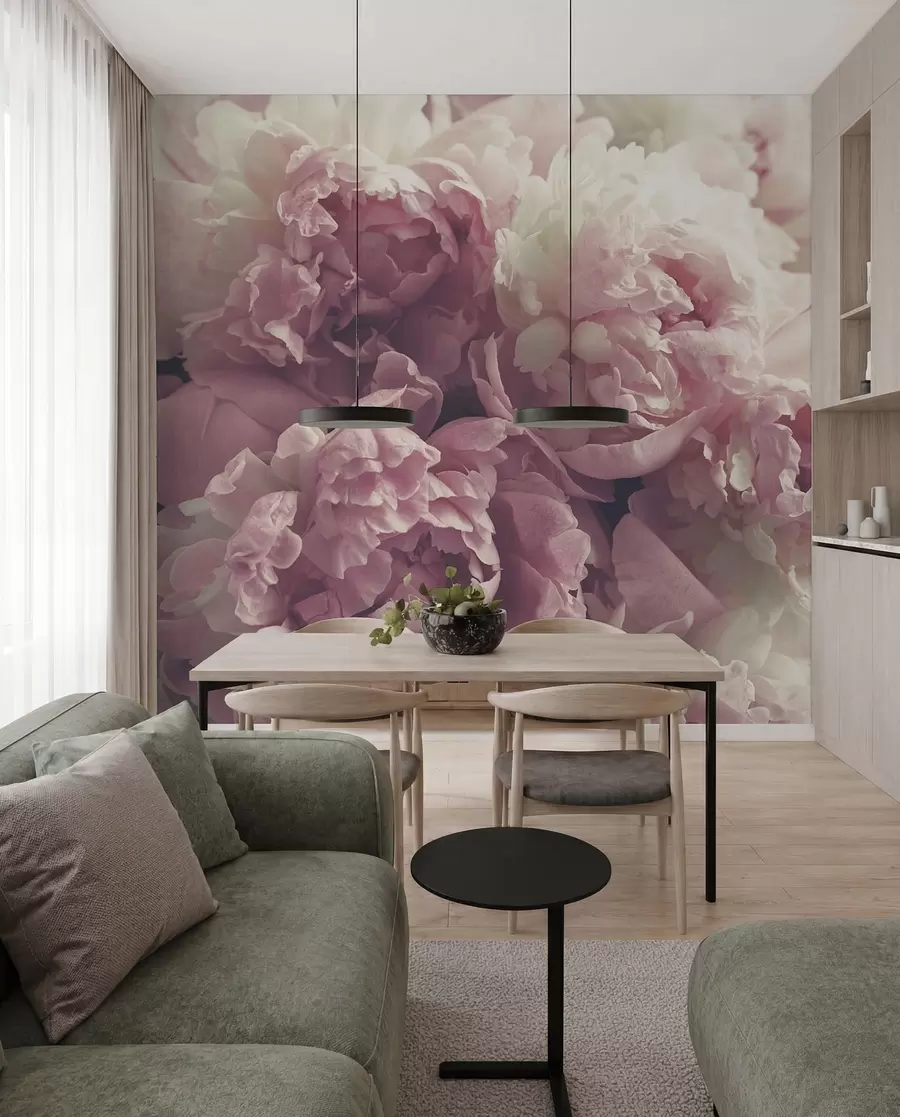 Wall Mural Photo Wallpaper Flower, petal and pink u44746