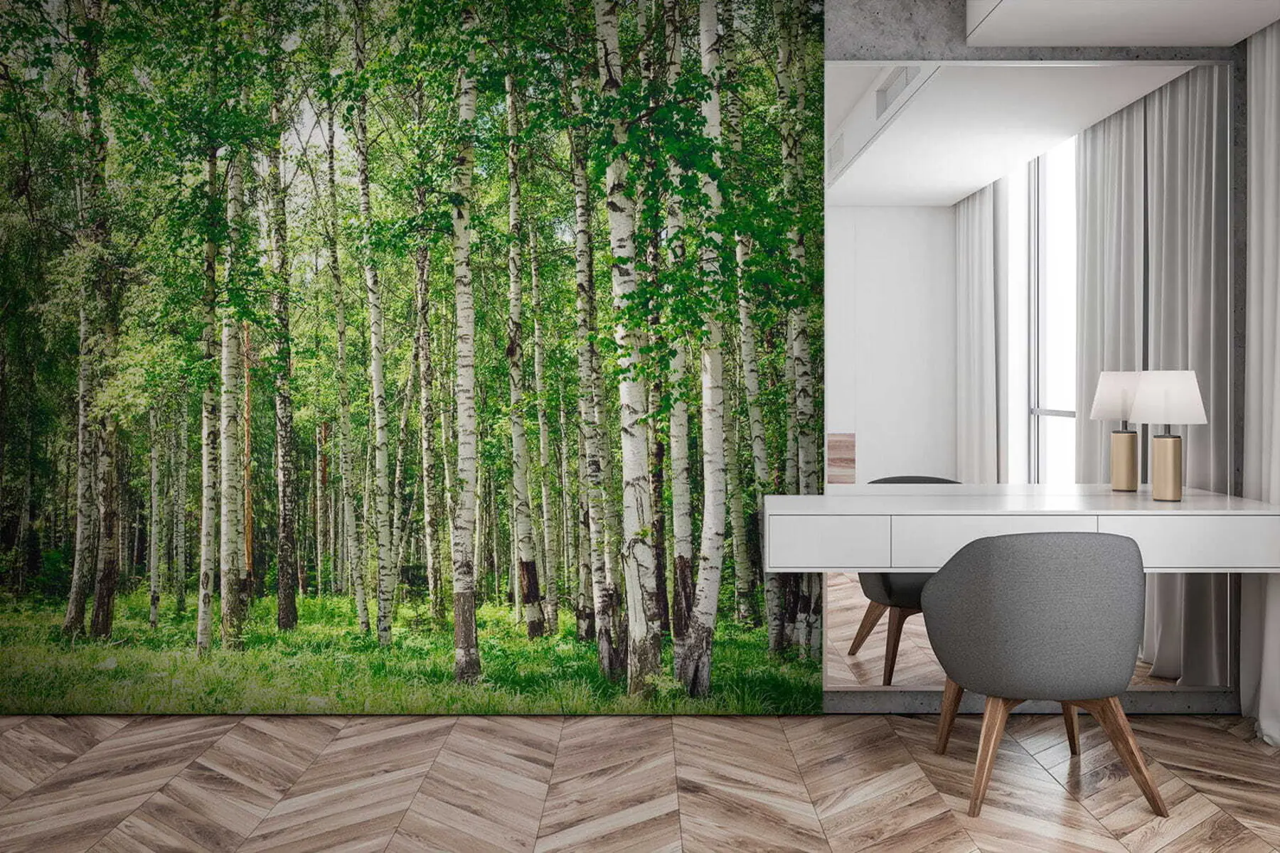 wall murals Birch forest u52530