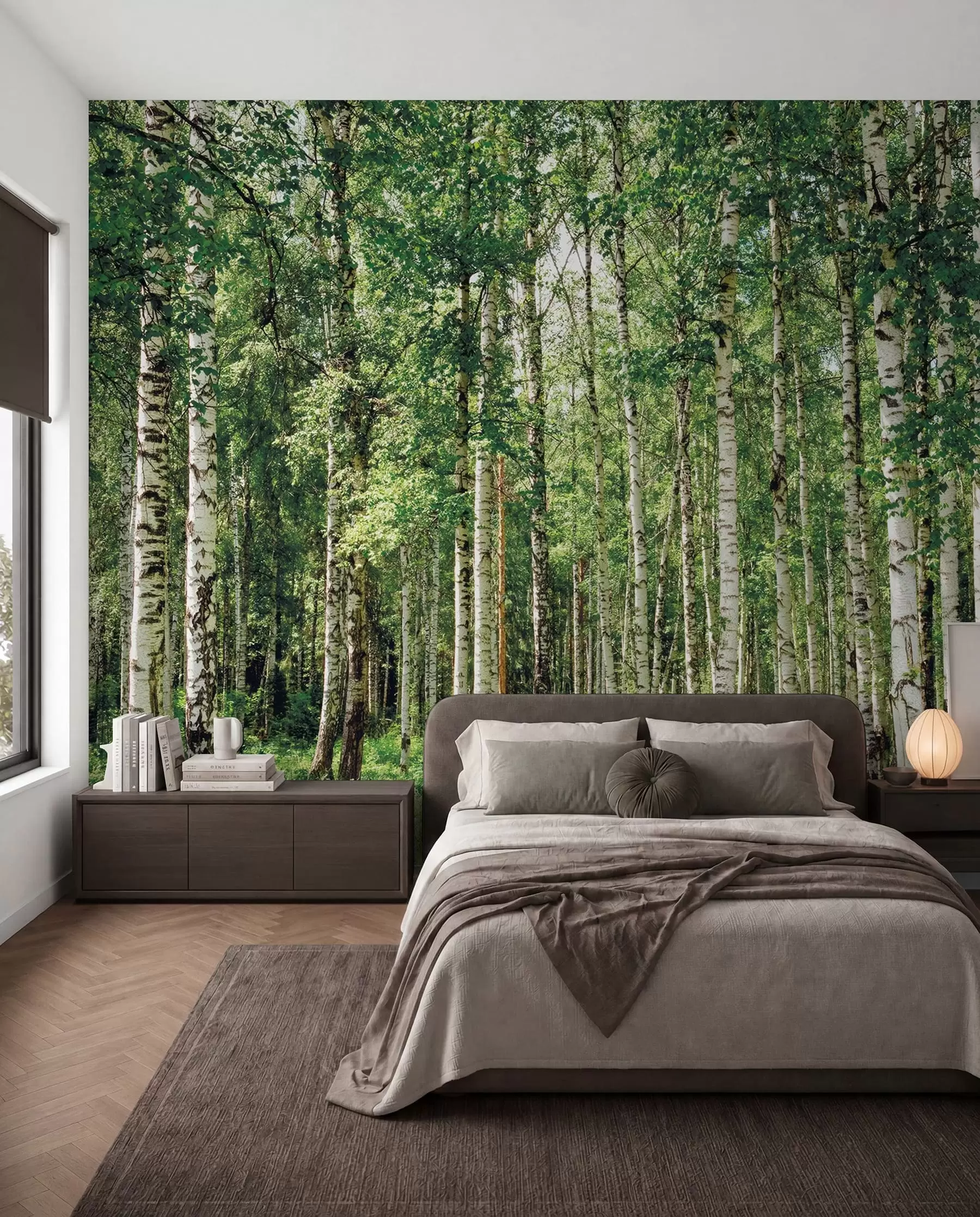 peintures murales Forêt de bouleaux u52530