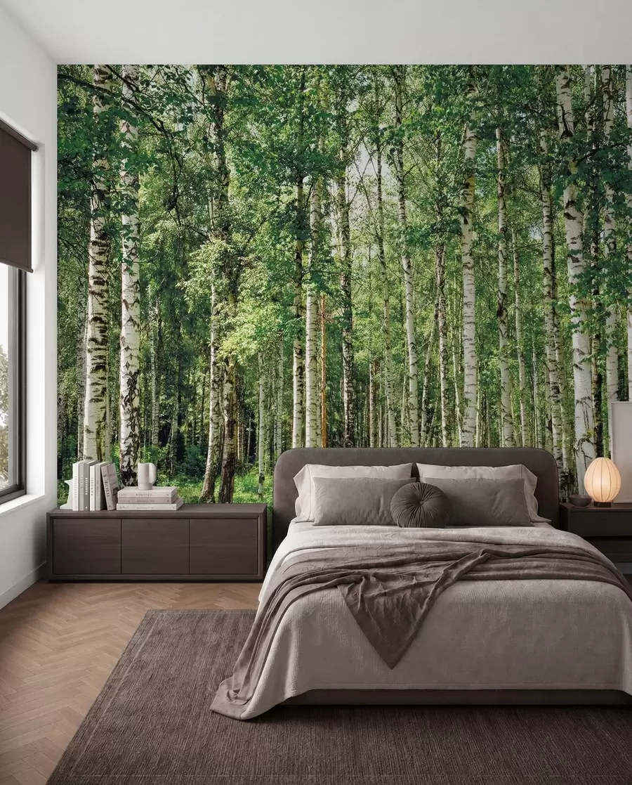 peintures murales Forêt de bouleaux u52530