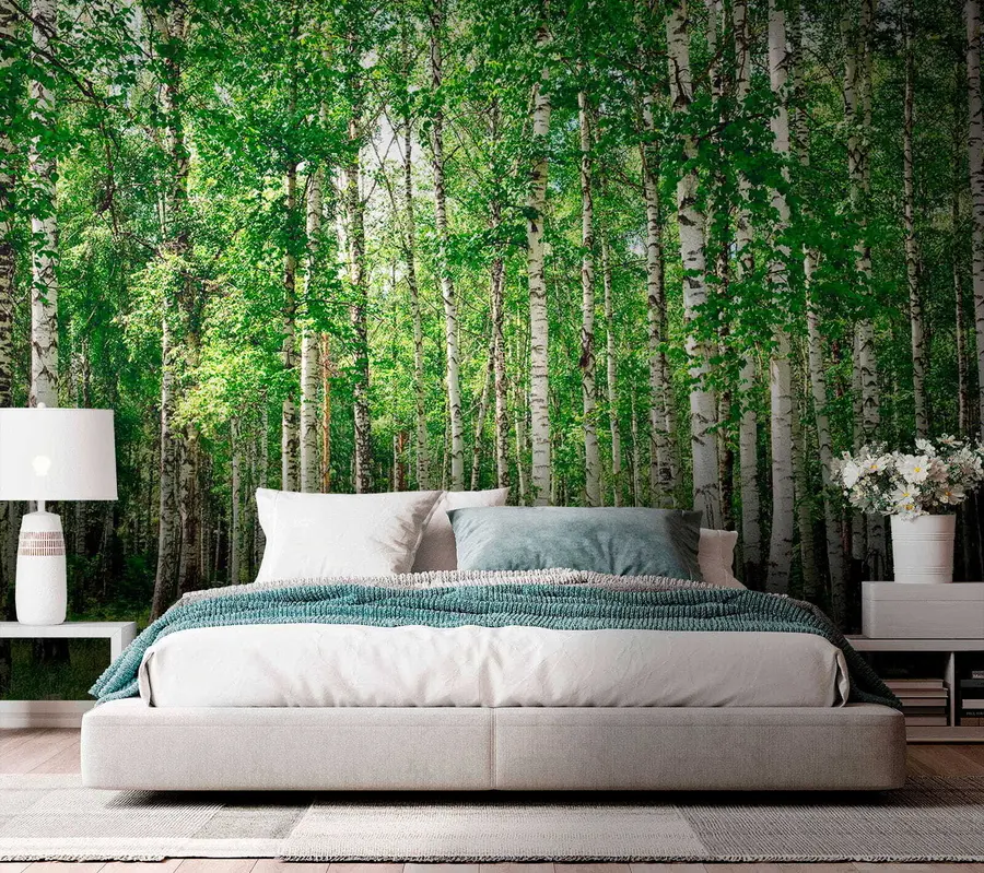 Wall Mural Photo Wallpaper Birch forest u52530