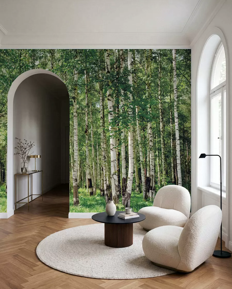 Wall Mural Photo Wallpaper Birch forest u52530