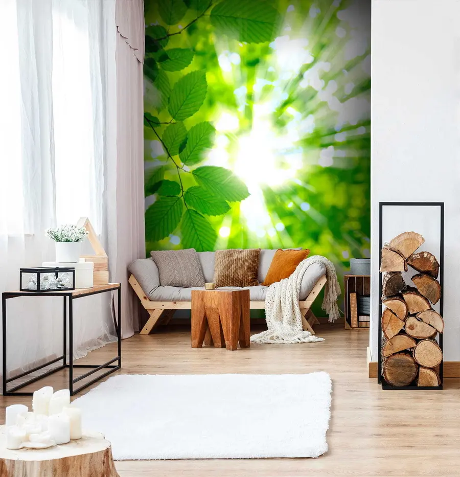 murales Planta, botánica y luz solar u54862