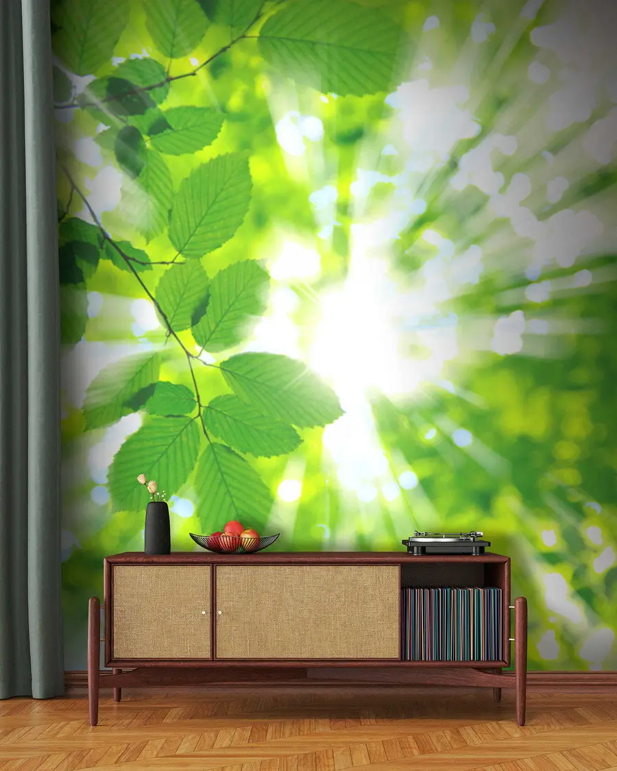 Wall Mural Photo Wallpaper Plant, botany and sunlight u54862