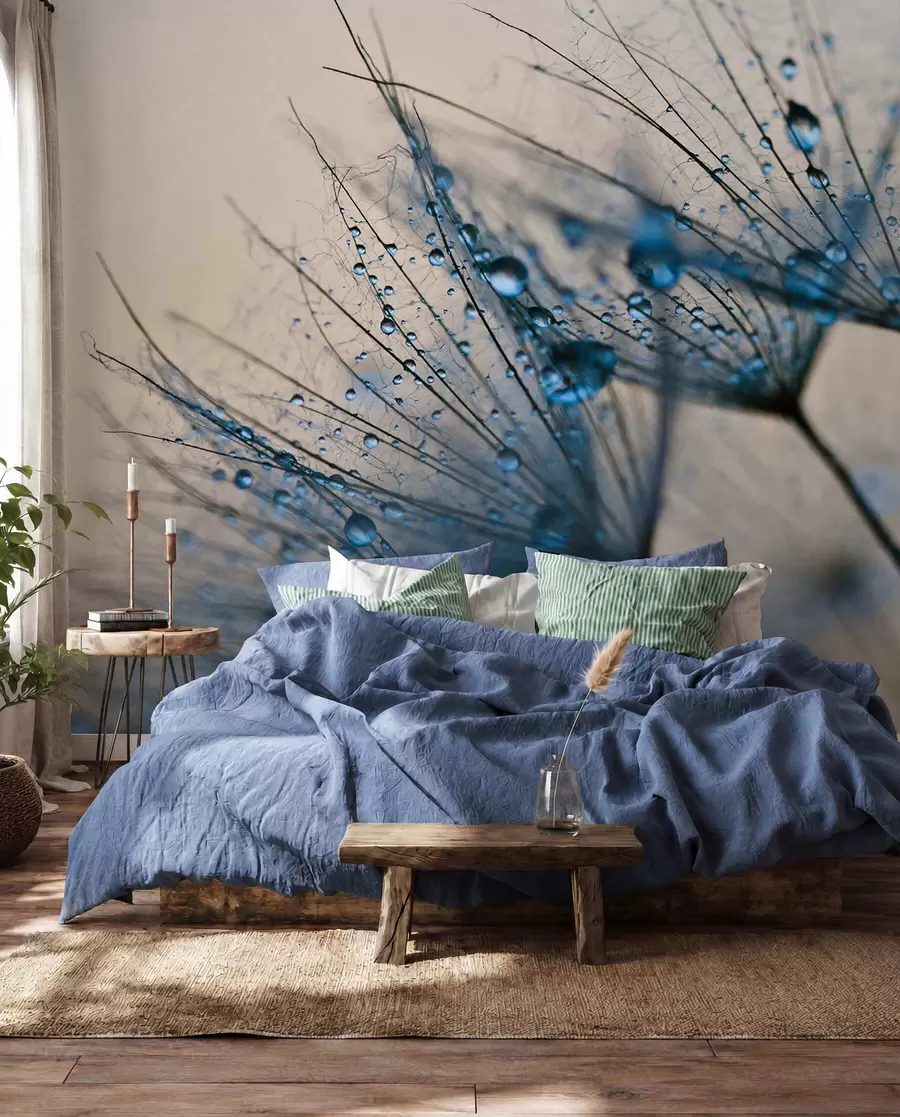 peintures murales Pissenlits avec des gouttes d'eau u57557