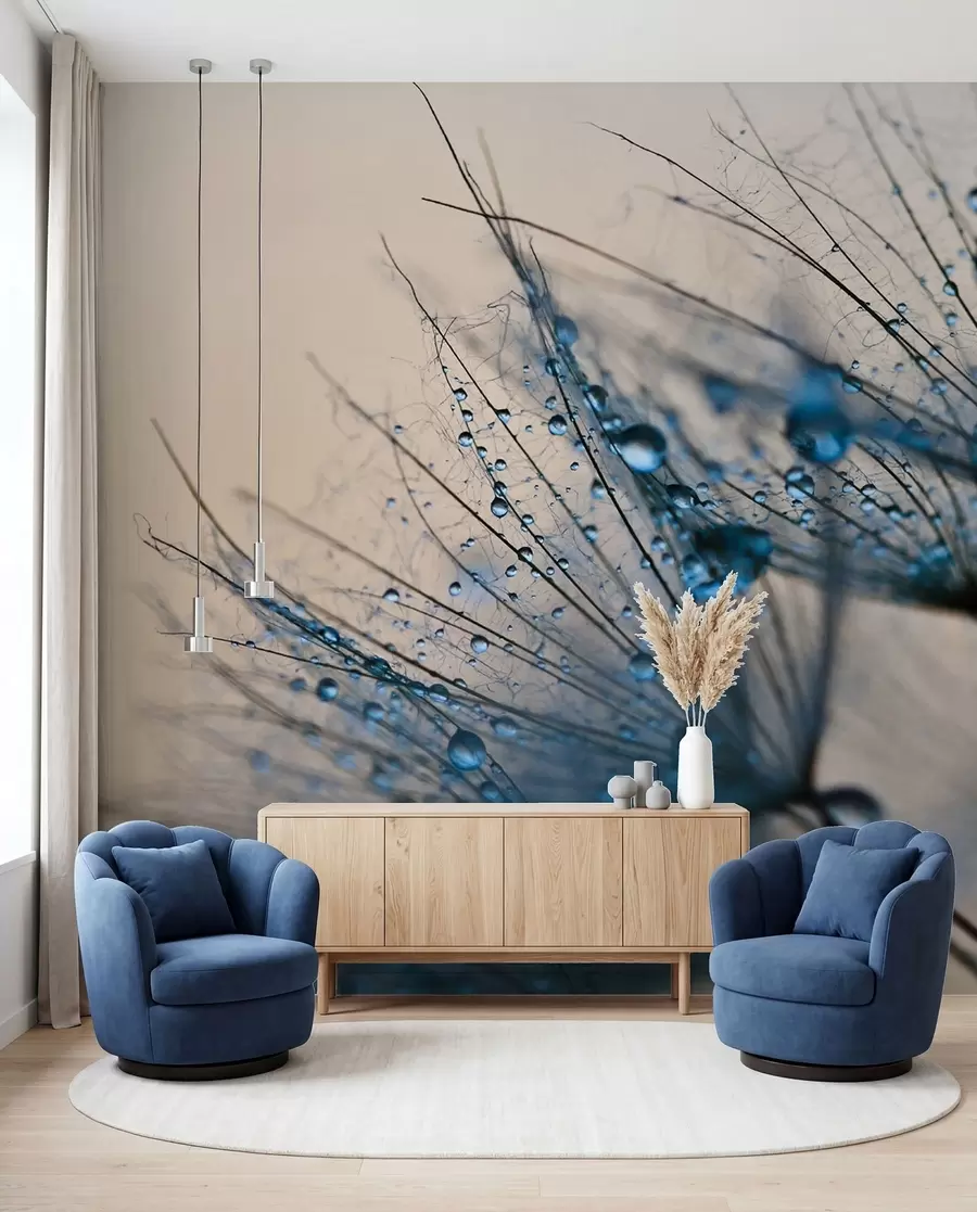 Wall Mural Photo Wallpaper Dandelions with drops of water u57557