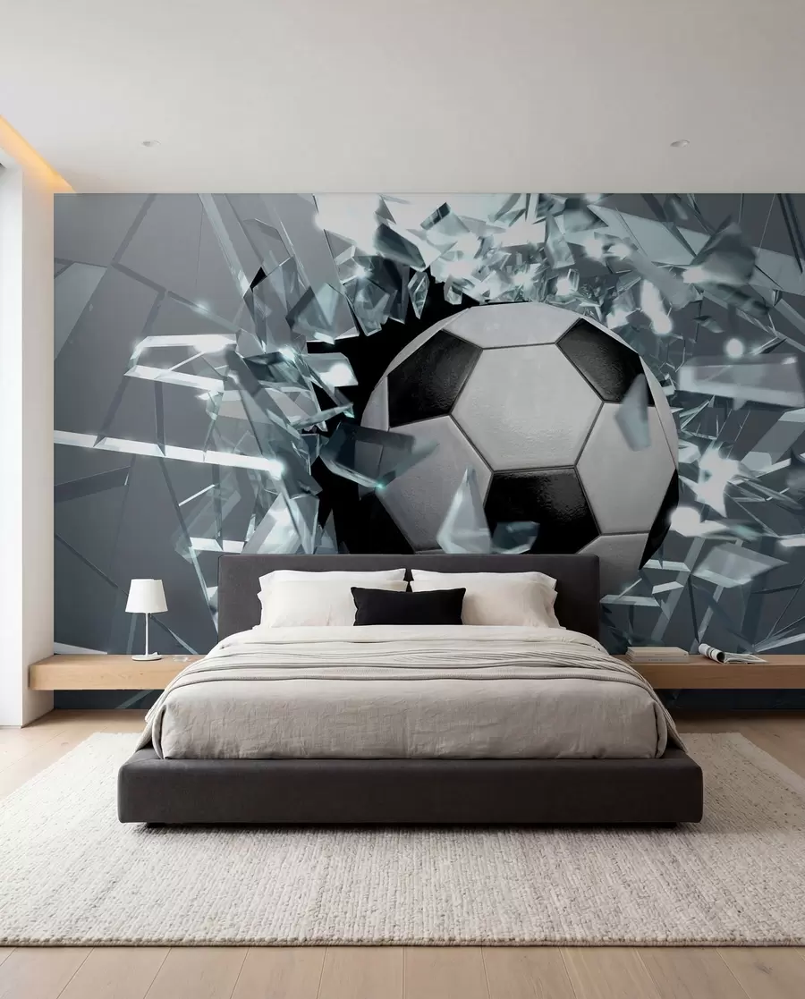 wall murals Soccer, football and ball u64581