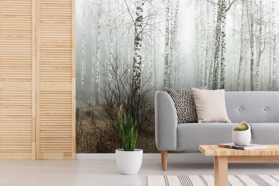 murales Abedules en la niebla u58950