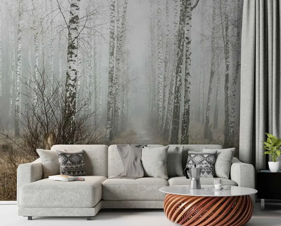 Wall Mural Photo Wallpaper Birches in the fog u58950
