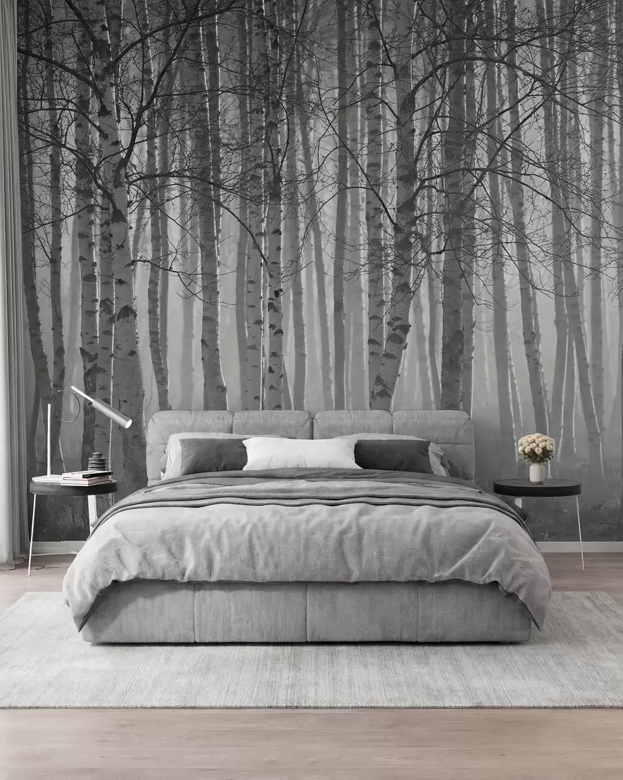 wall murals Morning mist in the birch forest u58971