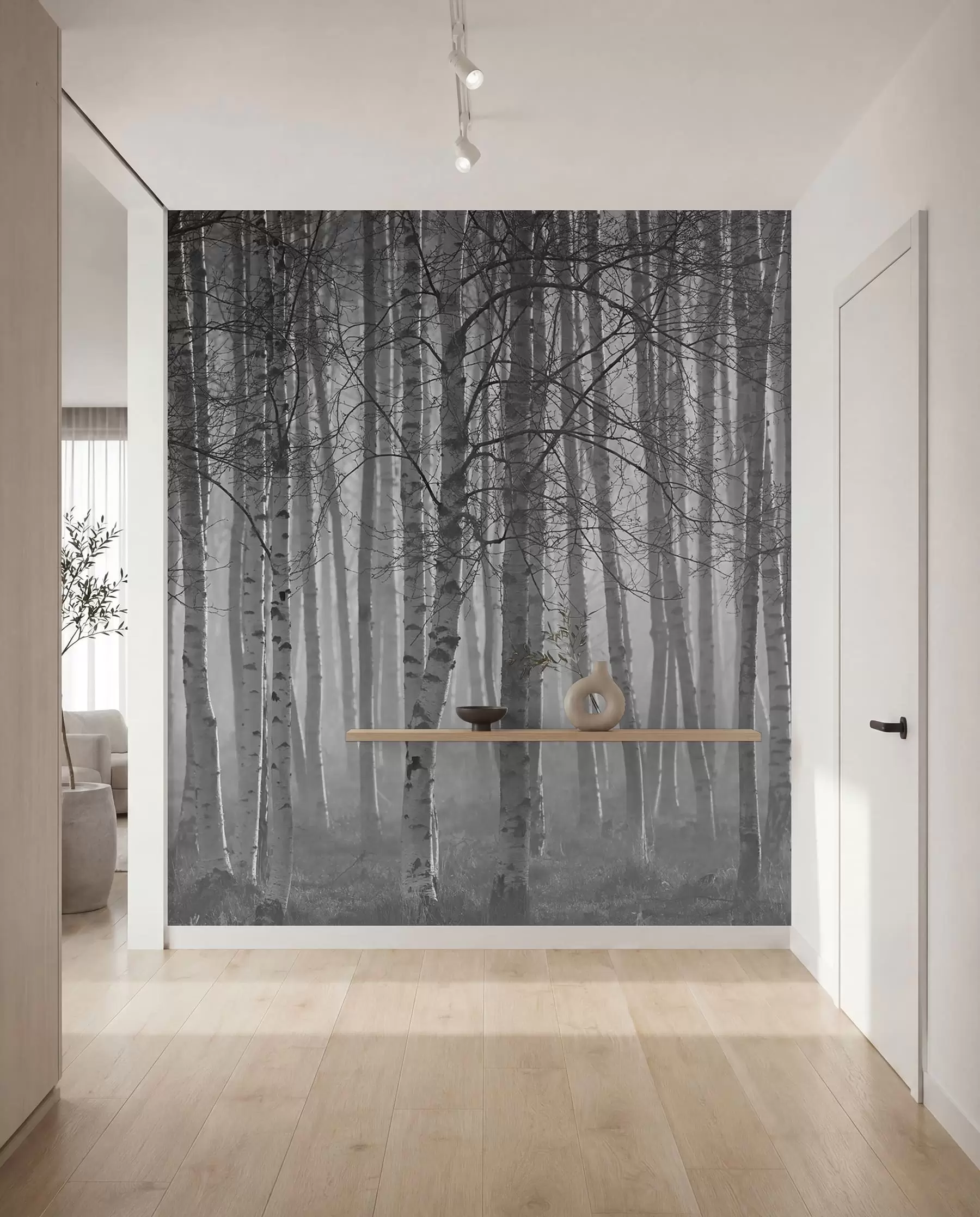peintures murales Brume matinale dans la forêt de bouleaux u58971