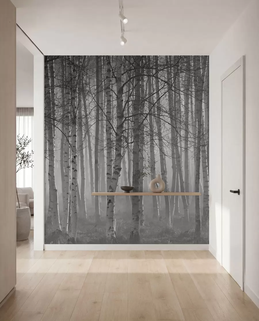 peintures murales Brume matinale dans la forêt de bouleaux u58971
