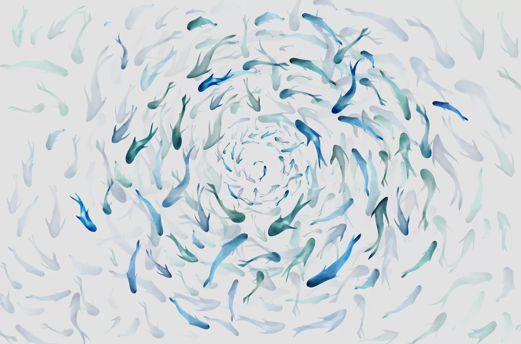 wall murals Fish swirling in a whirlpool, fish dance, watercolor, shark, abstract composition, minimalism, blue, green color w00510