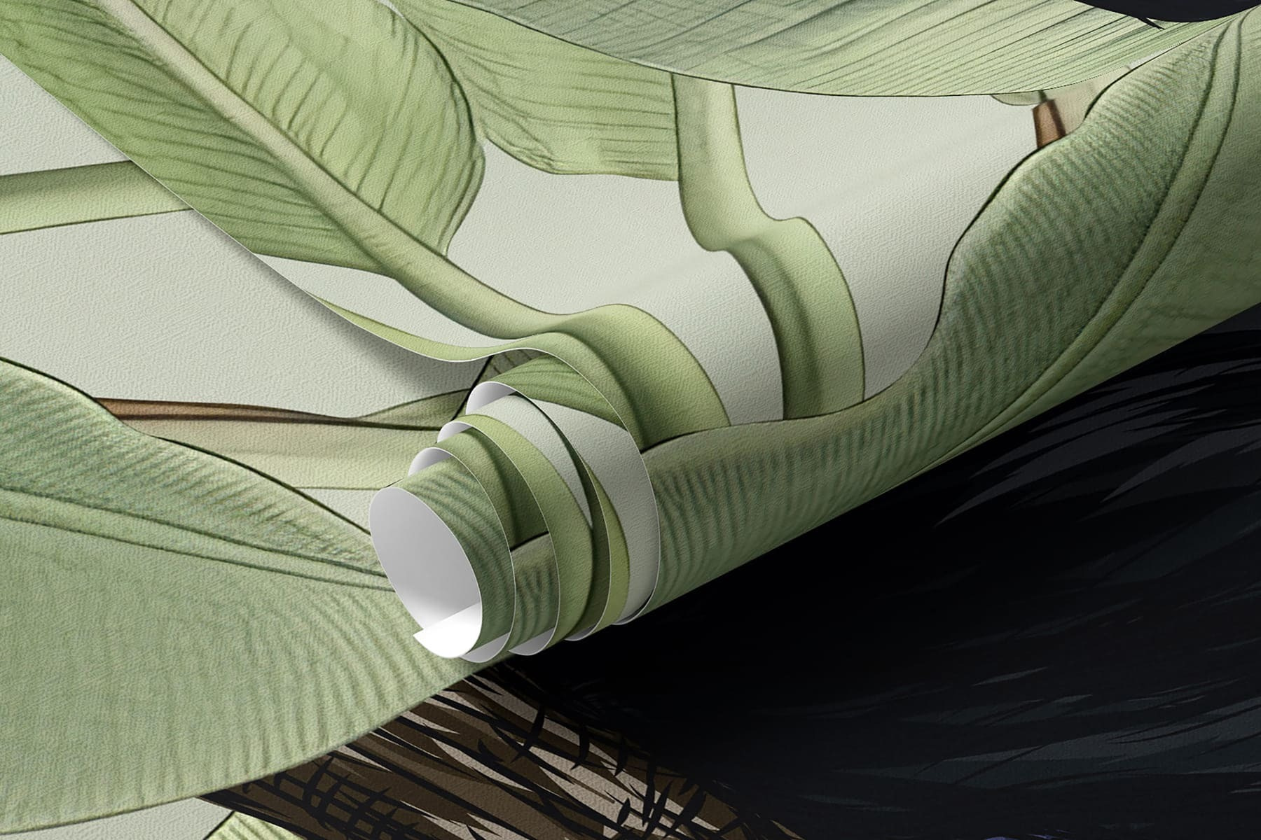 希少 アート 大型本 TROPIAAL ART Birds and Leaves 希少 アート