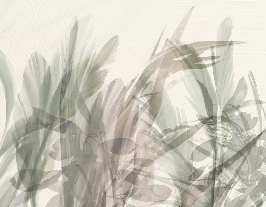 murales Multicomposición abstracta de formas de hojas tropicales parecidas a hierba borrosa en tonos de verde claro y gris w00798
