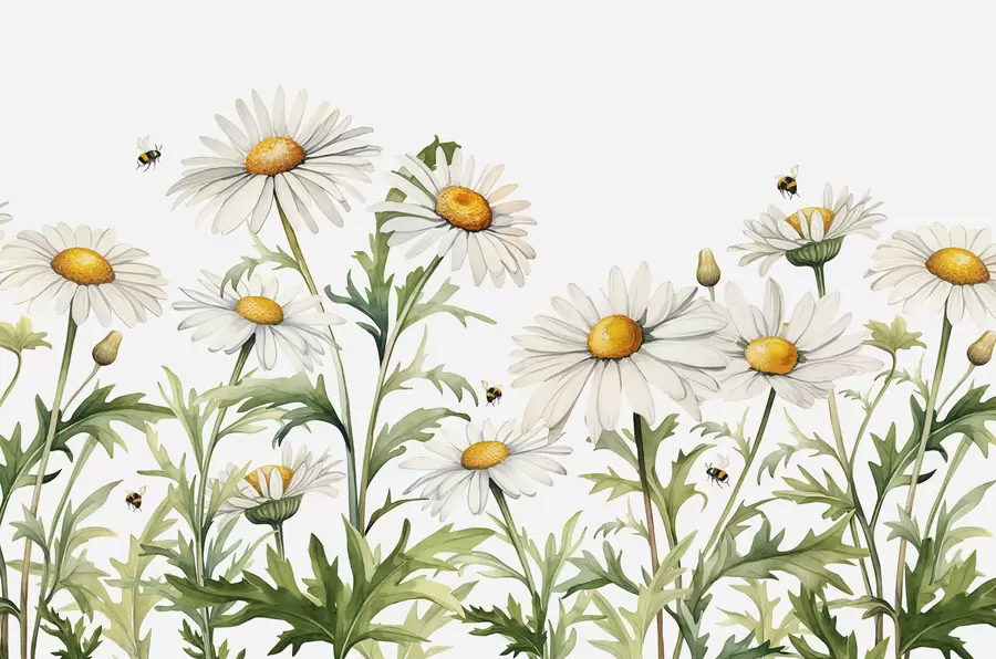 peintures murales Marguerites blanches en fleurs, abeilles volant illustration de plante aquarelle, couleur verte, blanche, jaune w01176