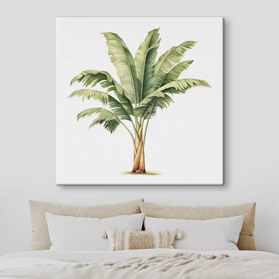 wall murals Banana palm tree watercolor minimalist illustration s39562