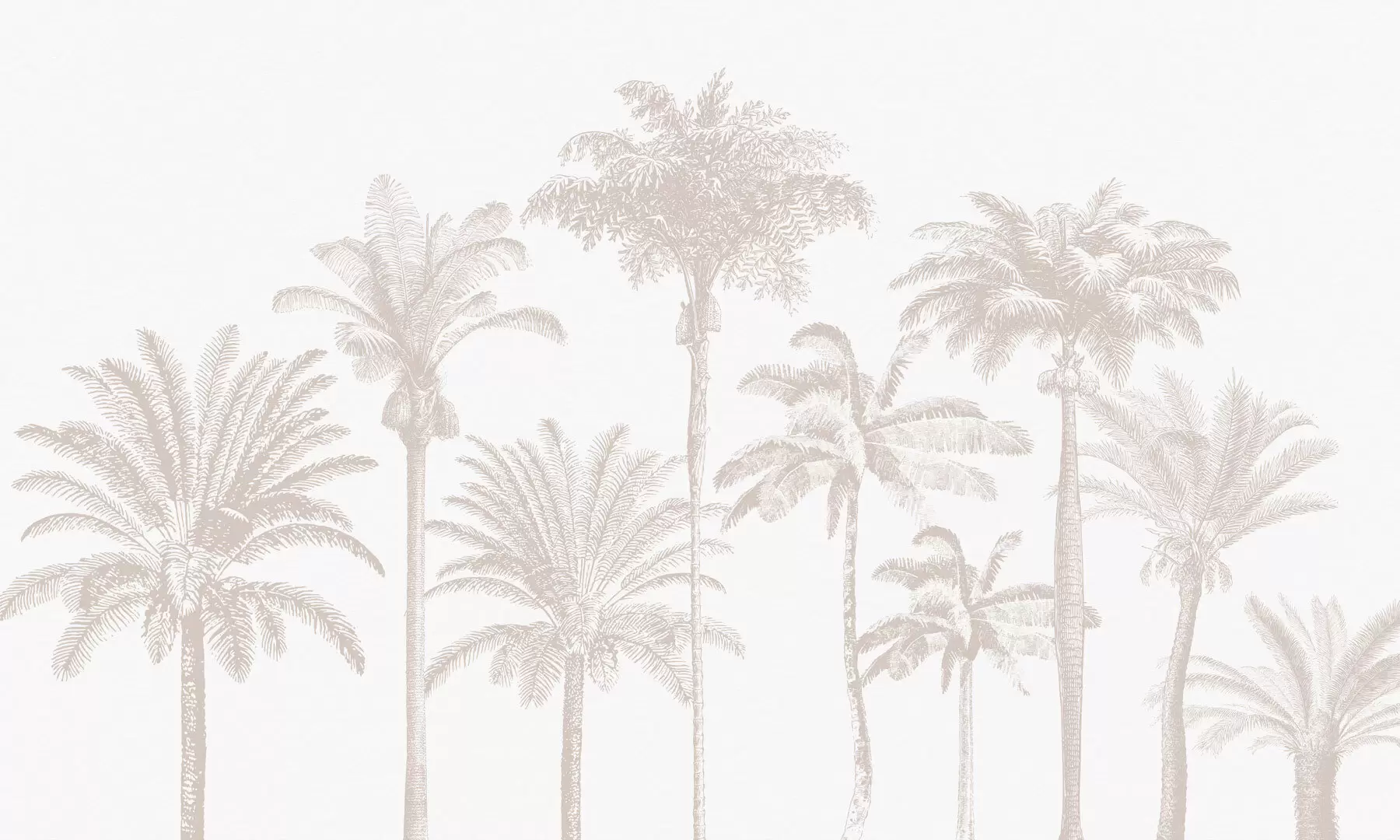 peintures murales Oasis de palmiers tropicaux minime w08111