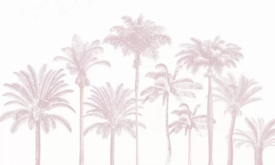 Wall Mural Photo Wallpaper Tropical palm trees oasis minimal pink color w08111v1