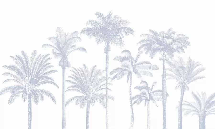 Wall Mural Photo Wallpaper Tropical palm trees oasis minimal blue color w08111v4