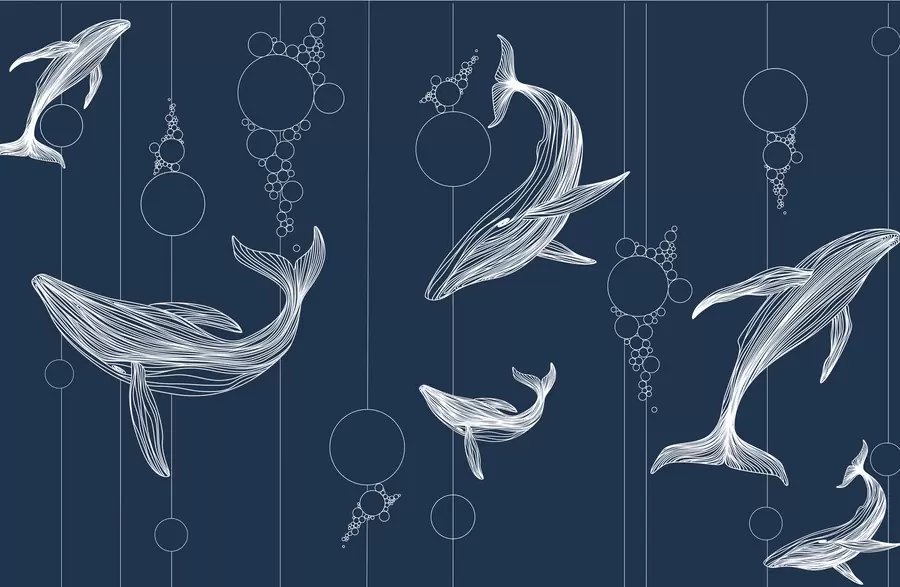 peintures murales Baleines et abstraction sur fond bleu w08074v1
