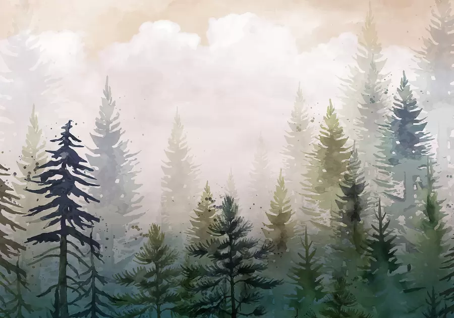 Wall Mural Photo Wallpaper Forest of tall evergreen pine trees in a foggy environment and filled with soft, hazy clouds landscape w08160