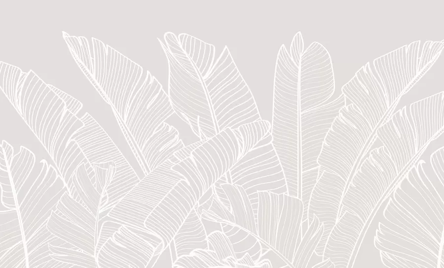 wall murals Tropical banana leaves minimalism new trend w08210