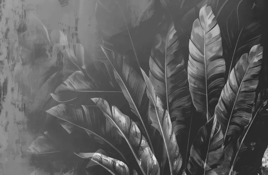 peintures murales Feuilles noires w00971