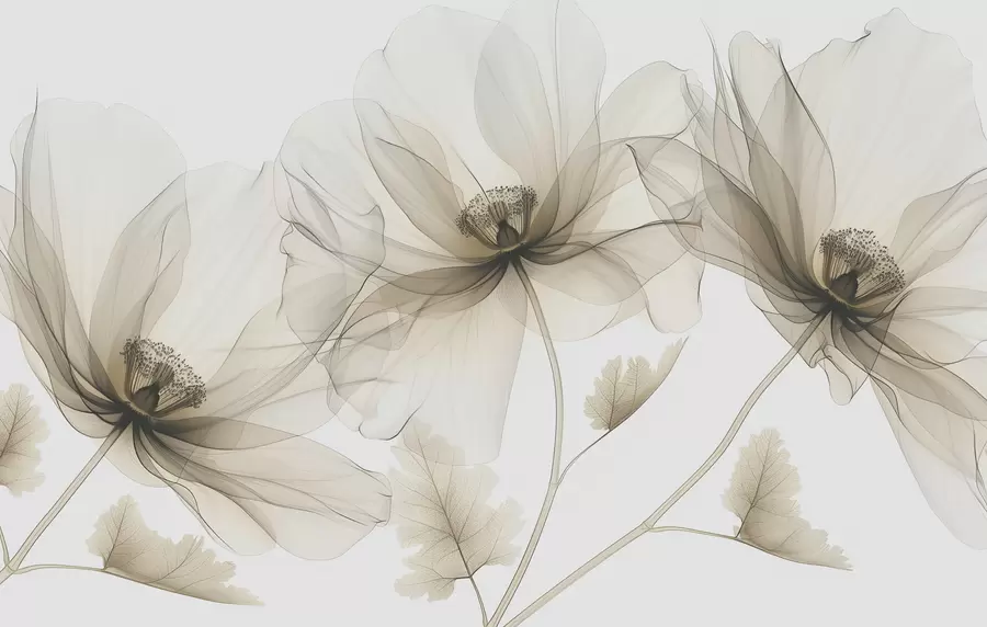 murais de parede Flor marrom transparente em estilo raio-X em fundo branco Design botânico monocromático minimalista w01482v2